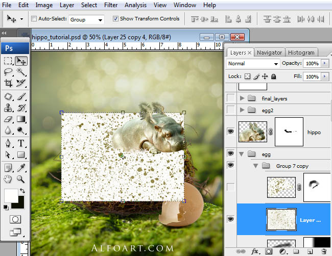hippo, photoshop, nest, egg, shell, flying hippo, cute, baby, wings, hippopotamus, feathers